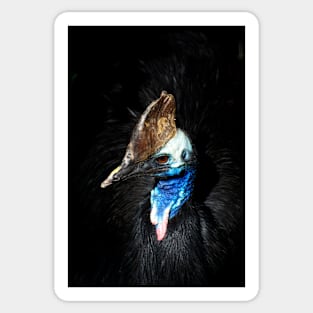 Cassowary Portrait Sticker